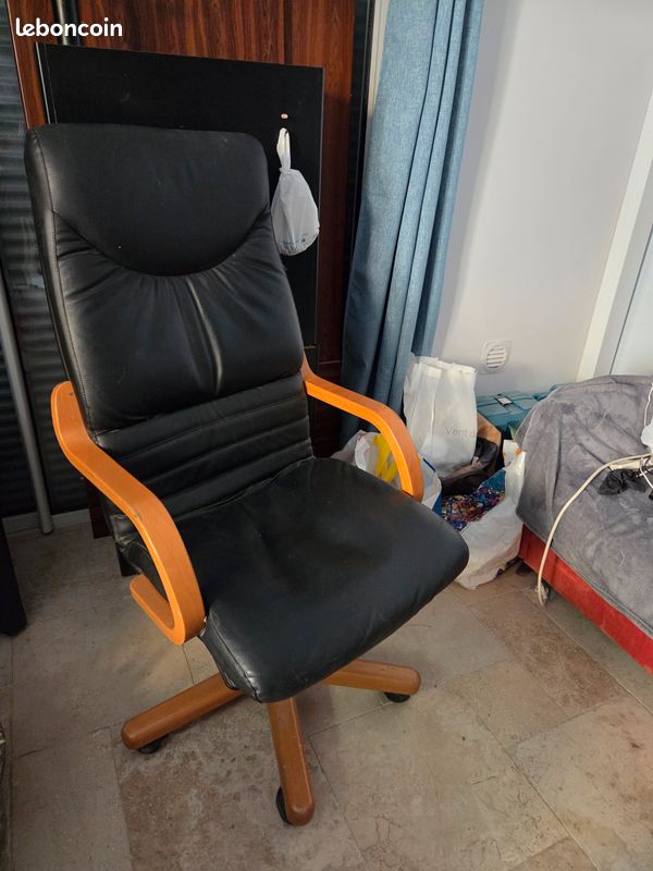 Fauteuil ministre (image 1)