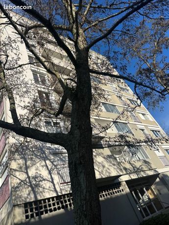 Appartement 2 pièces 53 m²