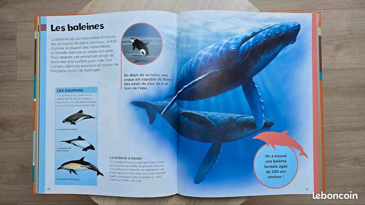 Ma première encyclopédie des animaux (image 3)