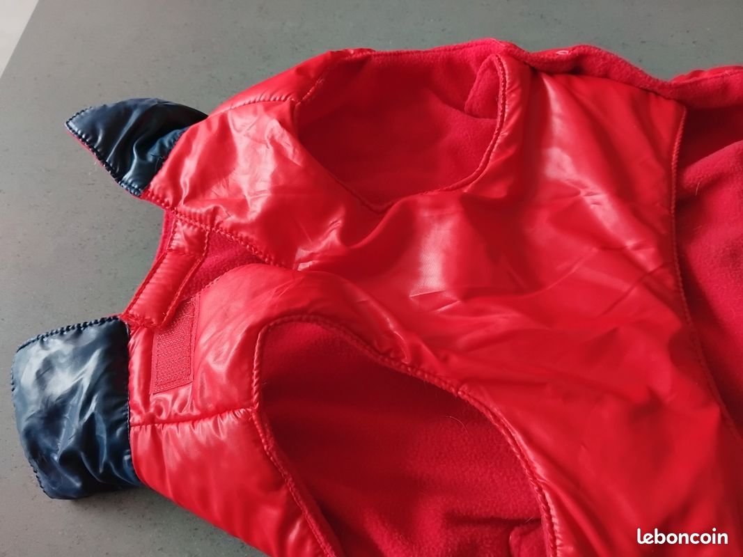 Manteau hiver pour chien (image 3)