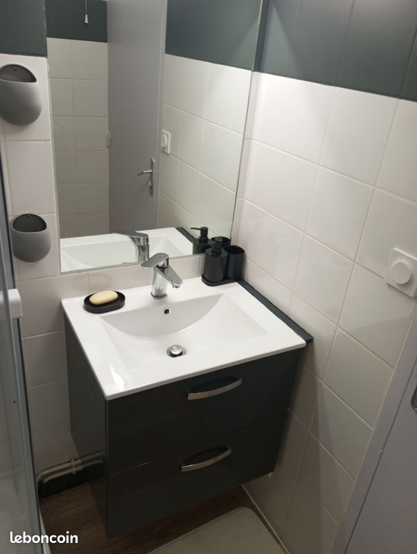 Appt T2 35m² Vallée d'Ossau 4 Personnes (image 5)