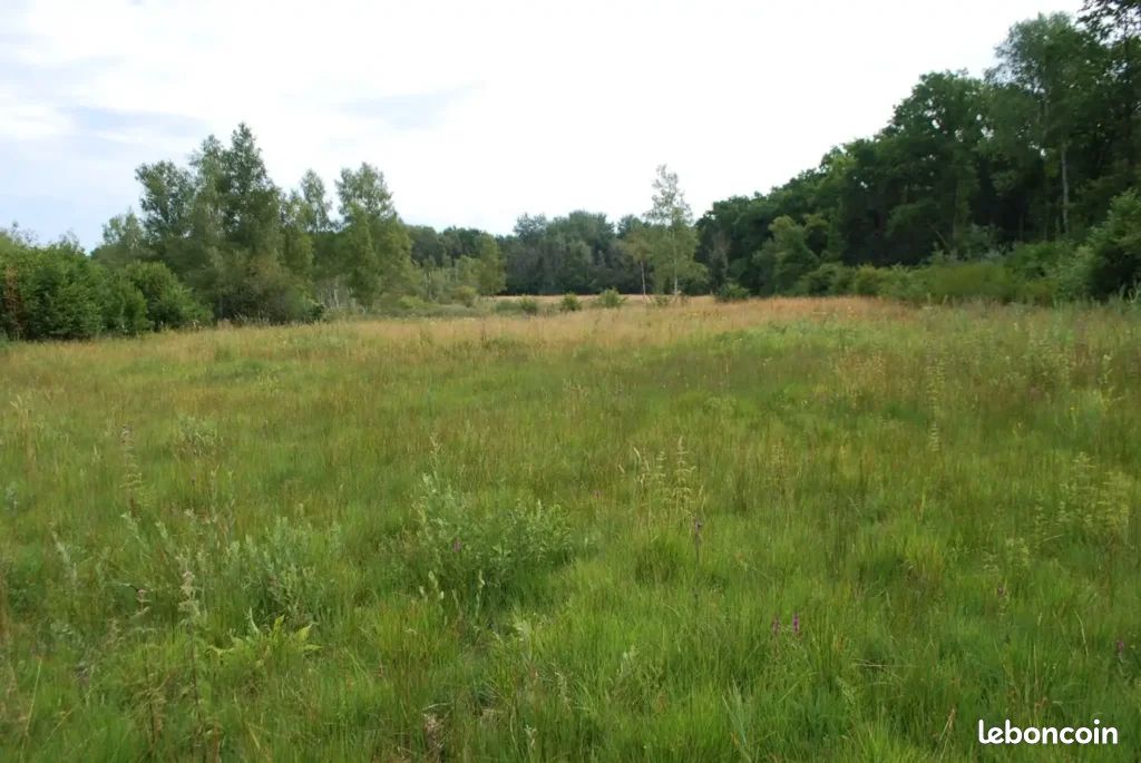 Recherche forêts, pature, terrain · à Faumont · 10 000 €