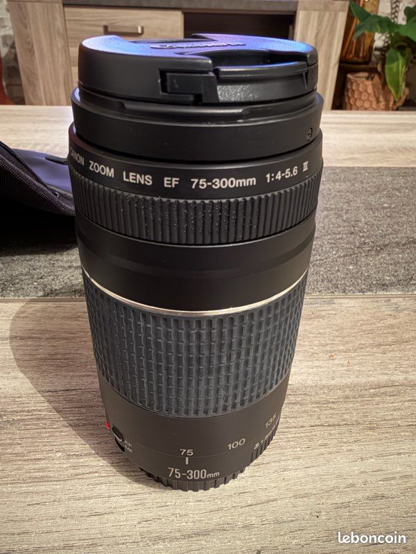 Appareil photo reflex Canon + objectifs (image 7)