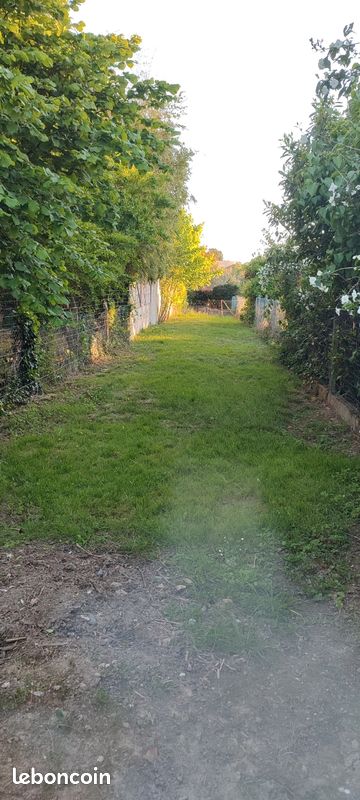 Maison a louer albi - 46 m2 - Surfyn