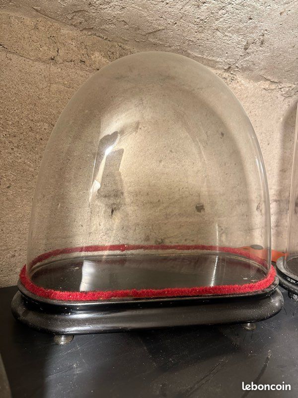 Lot 3 grands globes de mariés ancien (image 2)
