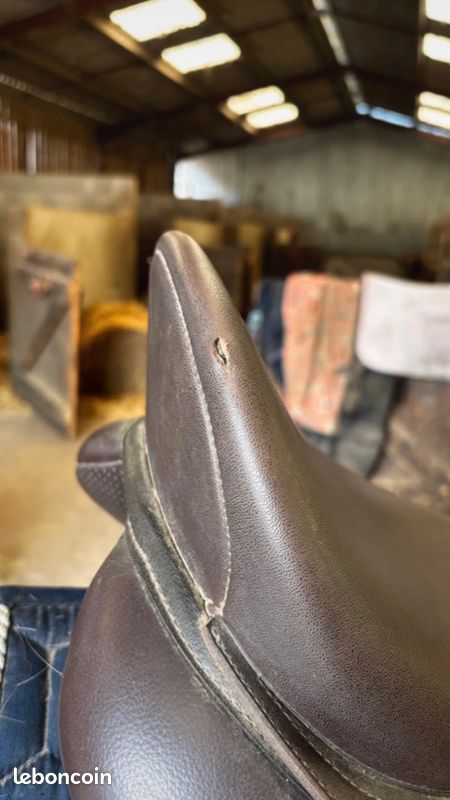 Selle d'équitation (image 2)