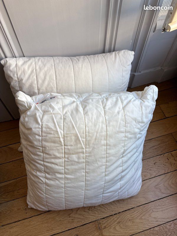 Deux oreillers Eldboll Ikea (image 1)