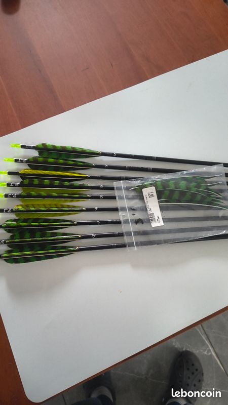 Lot De 8 Flèches Easton Eclipse X7 Pour Tir à L'arc – Longueur 29 Pouces – Occasion Bon état