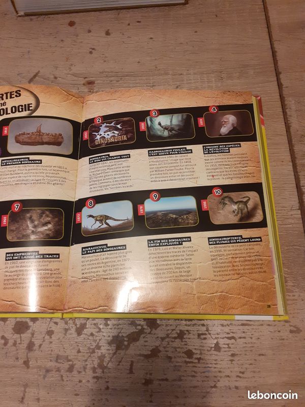 Livre LES DINOSAURES (image 2)