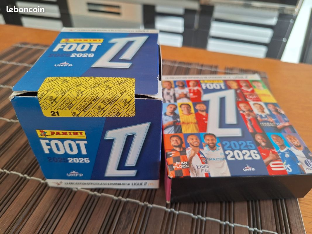Boîte Métal Panini FOOT 2024/2025 – Vide – Collector 50 Ans – Boîte De Rangement