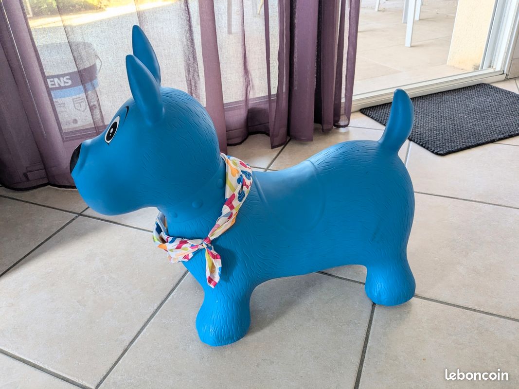 Chien sauteur Ludi (image 2)
