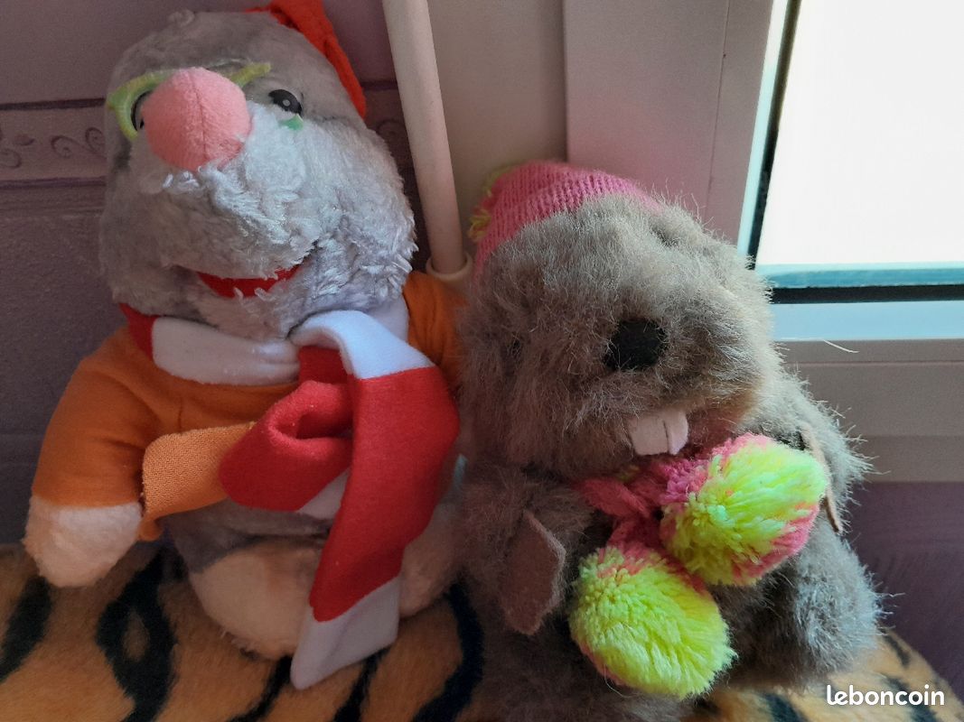 Plusieures peluches (image 1)