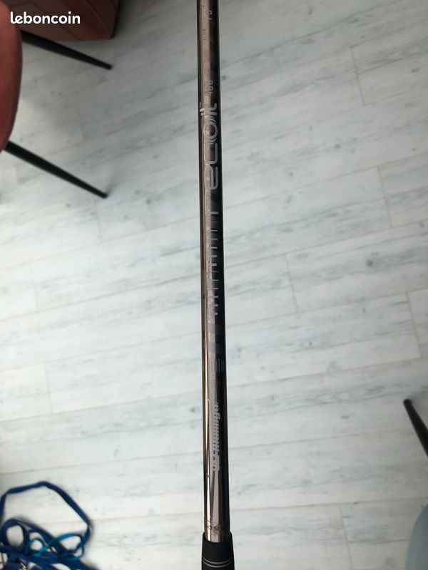 Hybride Great Big Bertha (image 3)