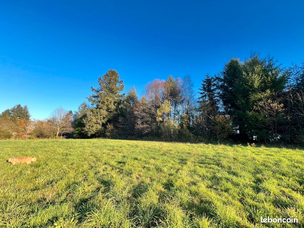 Terrain constructible · à Saint-Yrieix-la-Perche · 78 000 €
