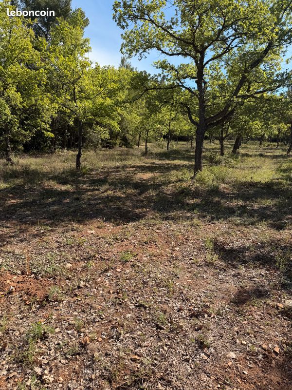 Terrain ( truffieres ) · à Salernes · 40 000 €