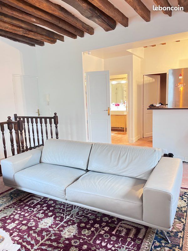 Canapé Roche Bobois gris (image 3)