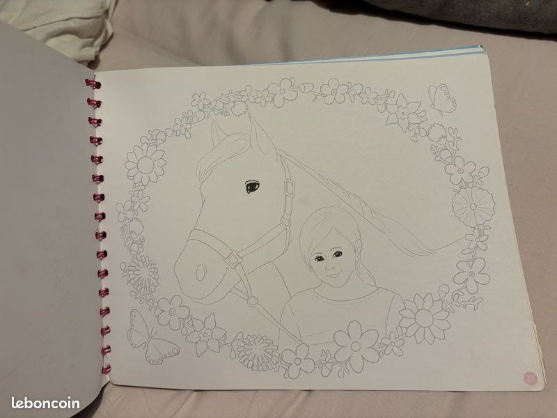 Livre de coloriage sur les chevaux (image 3)