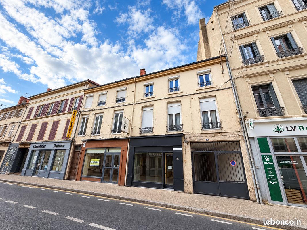 Immeuble 299 m² · à Roanne · 299 m² · 495 000 €