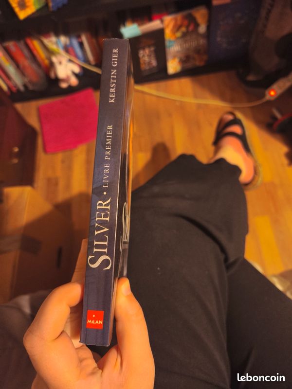 Livre Silver le premier livre (image 2)