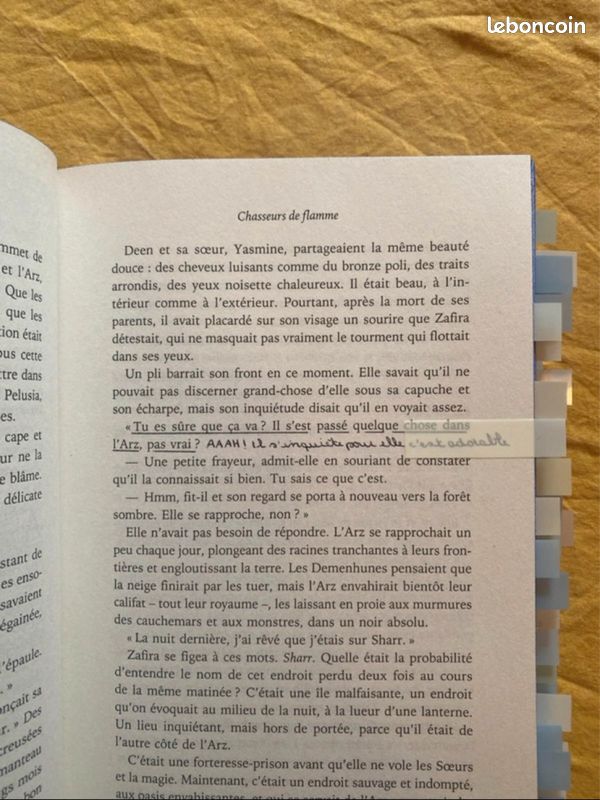 Chasseur de Flammes- Hafsah Faizal (entièrement annoté) (image 7)
