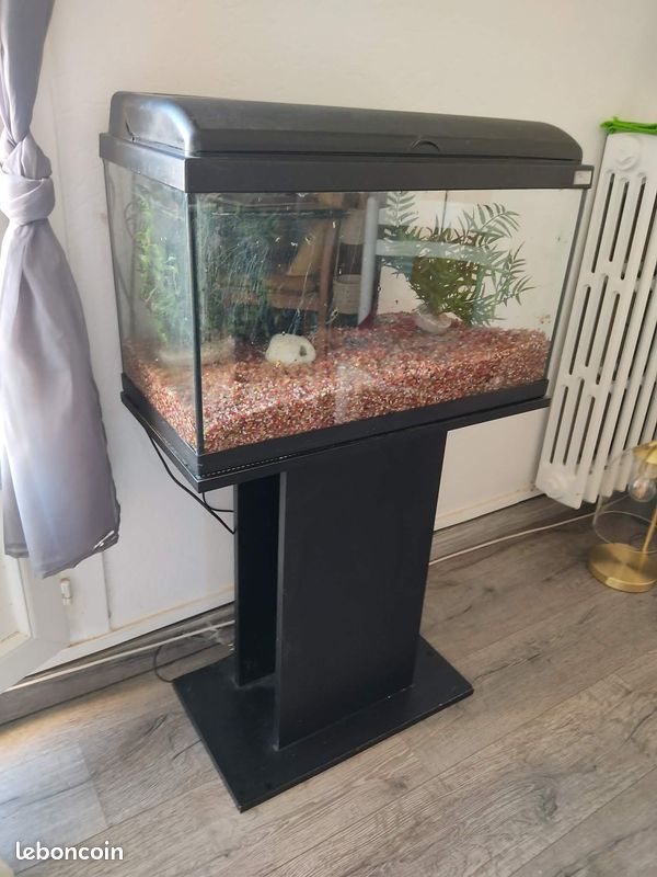 Aquarium (image 1)