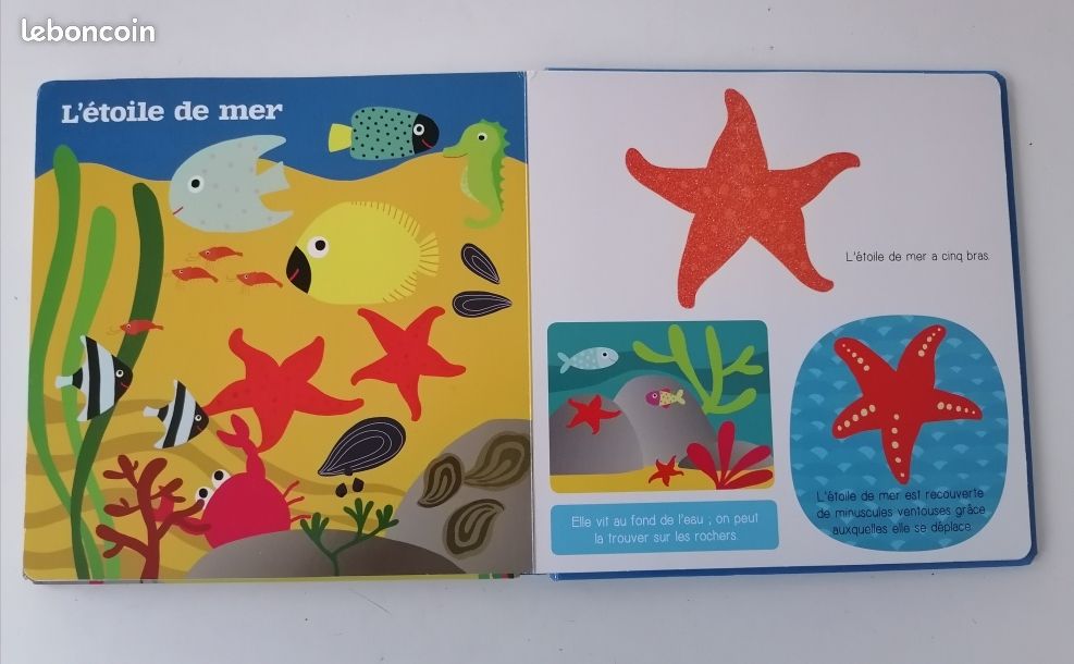 Les animaux de la mer (image 7)