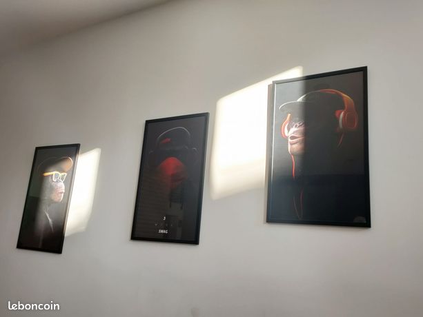 https://img.leboncoin.fr/api/v1/lbcpb1/images/2a/39/84/2a39840fd9a30c27b67576bde9c6487e03e37a01.jpg?rule=ad-image
