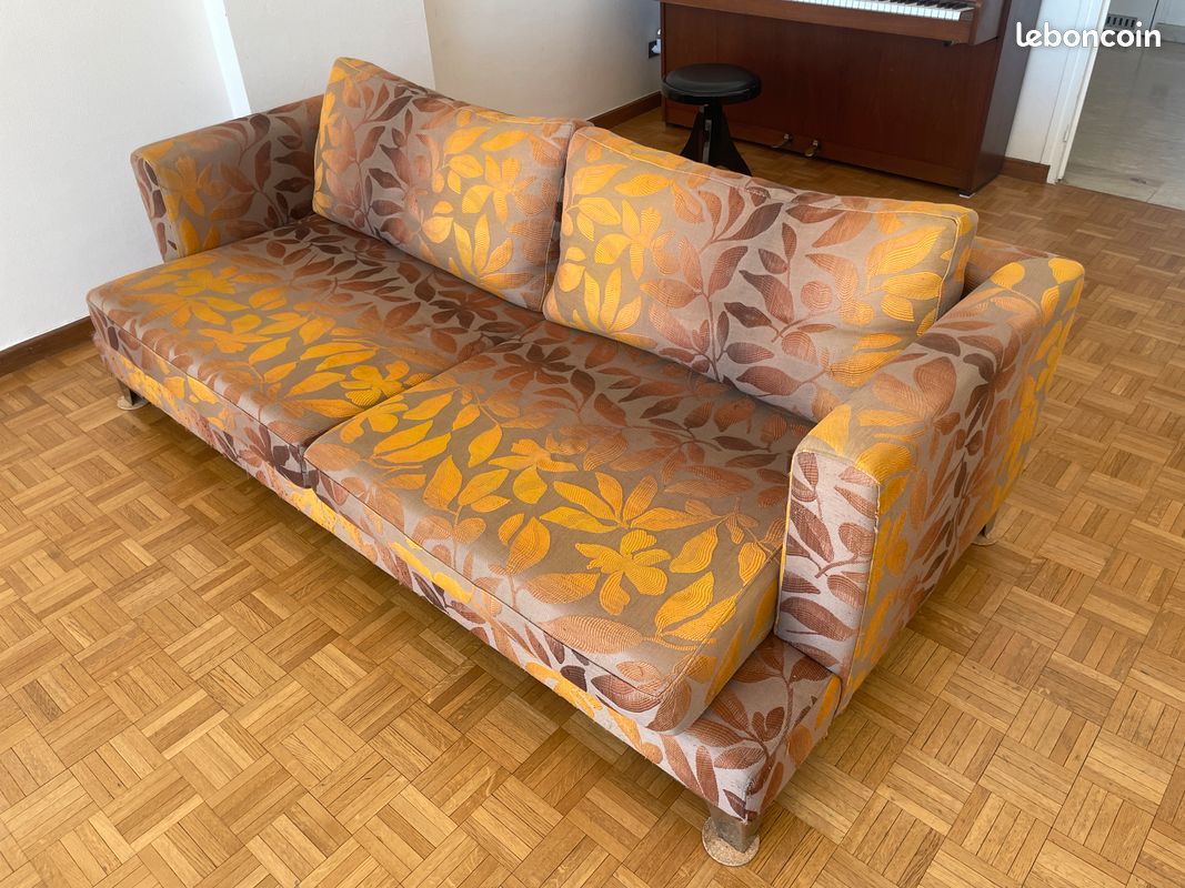 Roche bobois canapé (image 1)