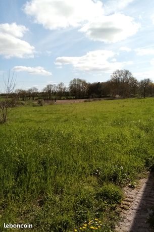 Terrain constructible