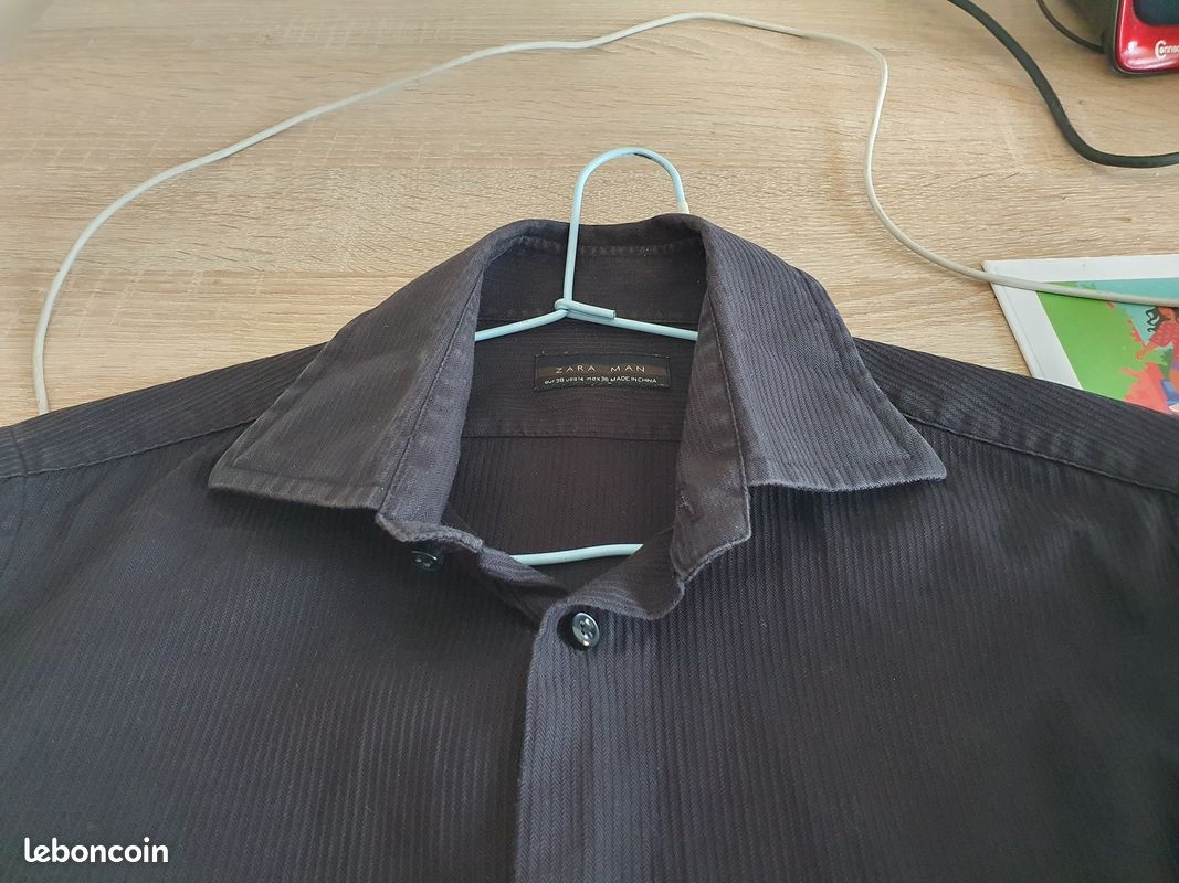 Zara Blouse Chemise Organza Zara Zara Semi-Sheer Organza Blouse