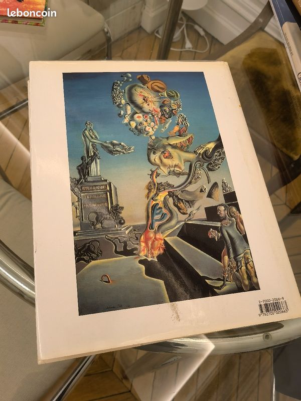 Grand livre Salvador Dali (image 2)