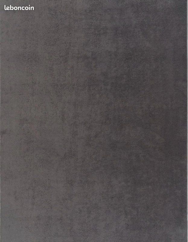 Tapis Poil Ras doux anthracite 160x220 (image 4)