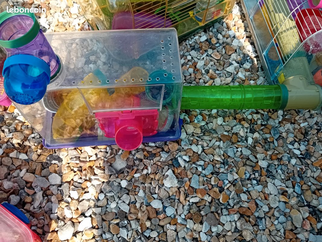 Cage rongeur n2 (image 1)