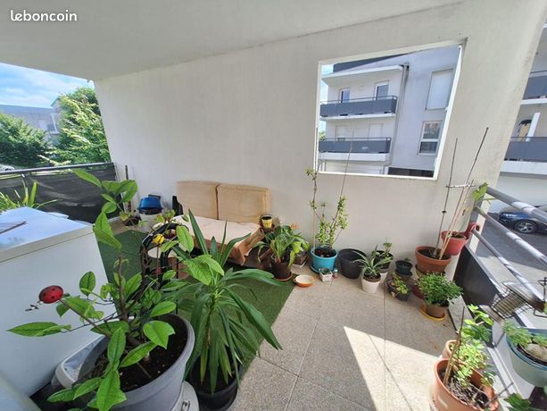 Appartement 3 pièces 60 m²