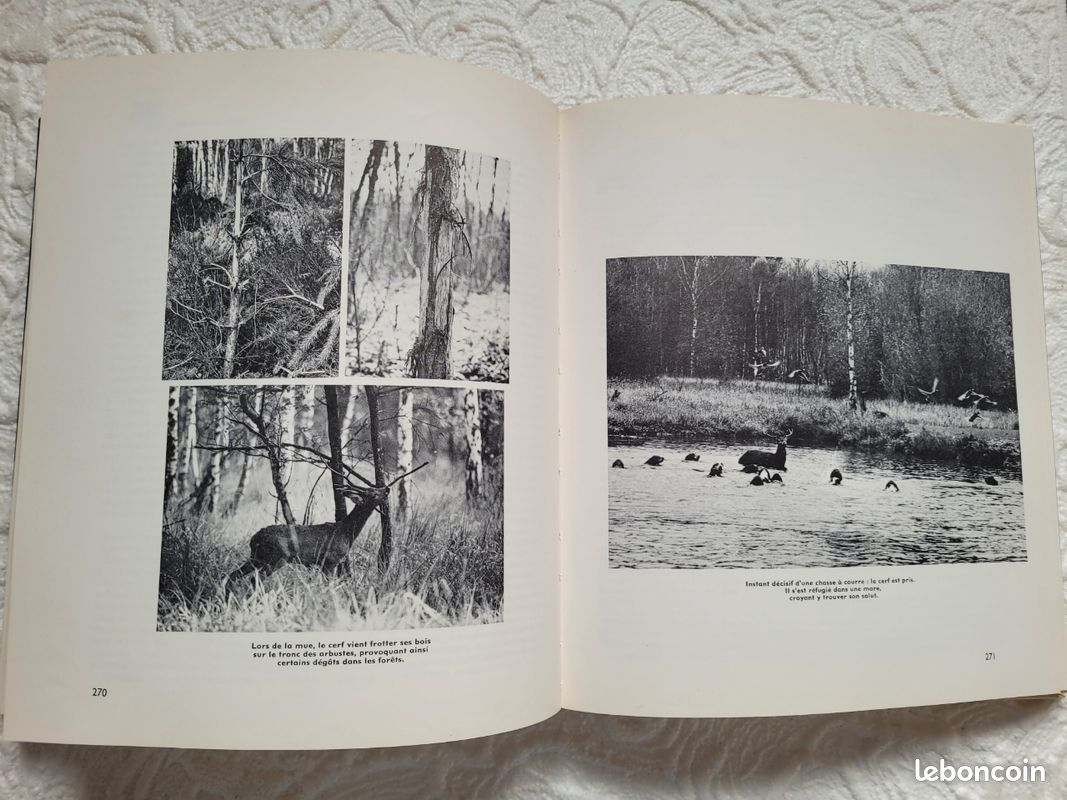 Livre vintage (image 15)