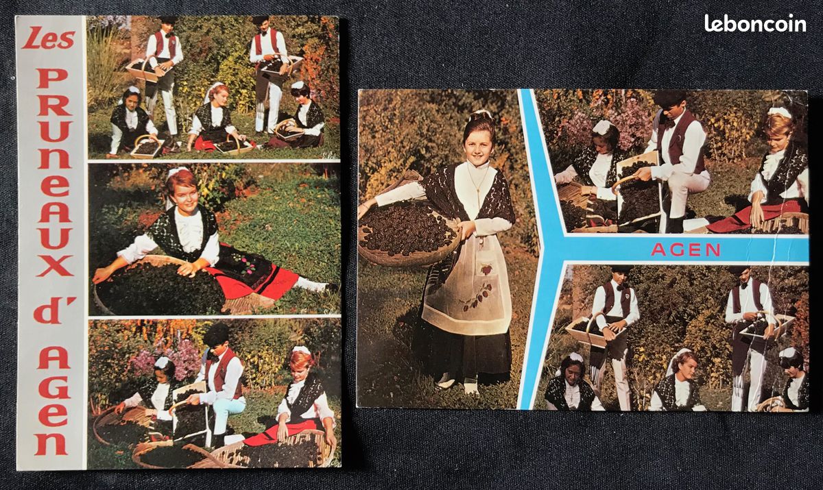 Carte Postale anciennes & modernes* Folklore Landais-Normand & Agen (image 3)