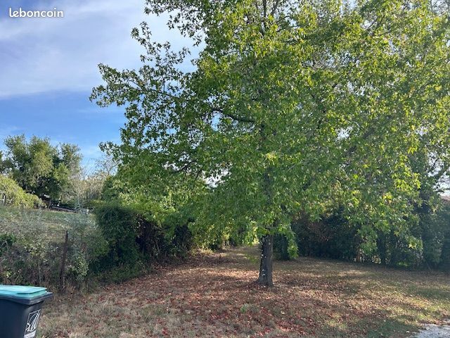 Terrain à bâtir de 600 m² à LA BREDE (33) · à La Brède · 190 000 €
