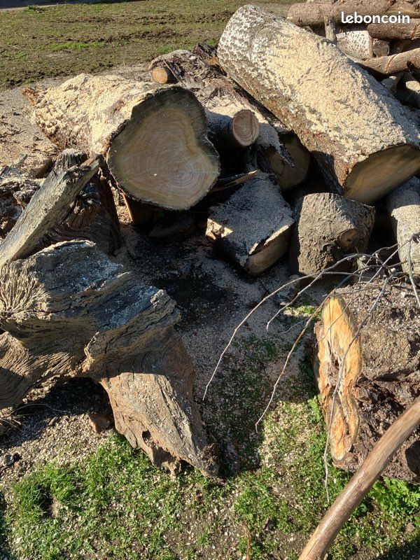 Bois (image 1)