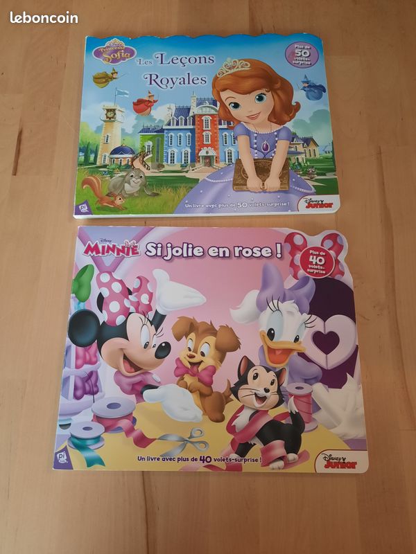 Livres Disney avec volets surprise (image 1)
