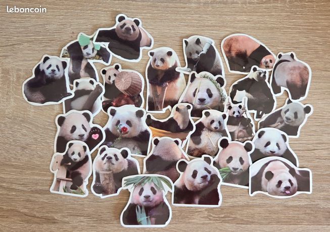2400+ Goettes Enfant 2 Ans 3 Ans Autocollants Coeur Sticker Coloré