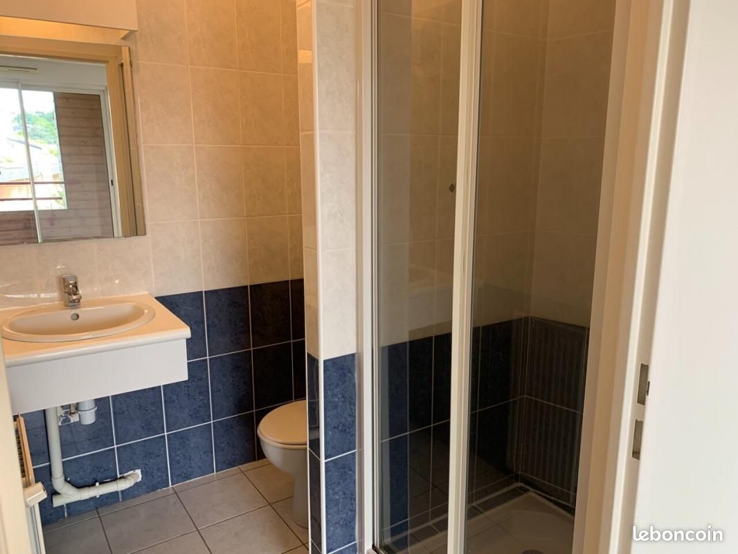 Appartement 5 pièces 122 m² - Brive-la-Gaillarde 19100 (image principale 8)