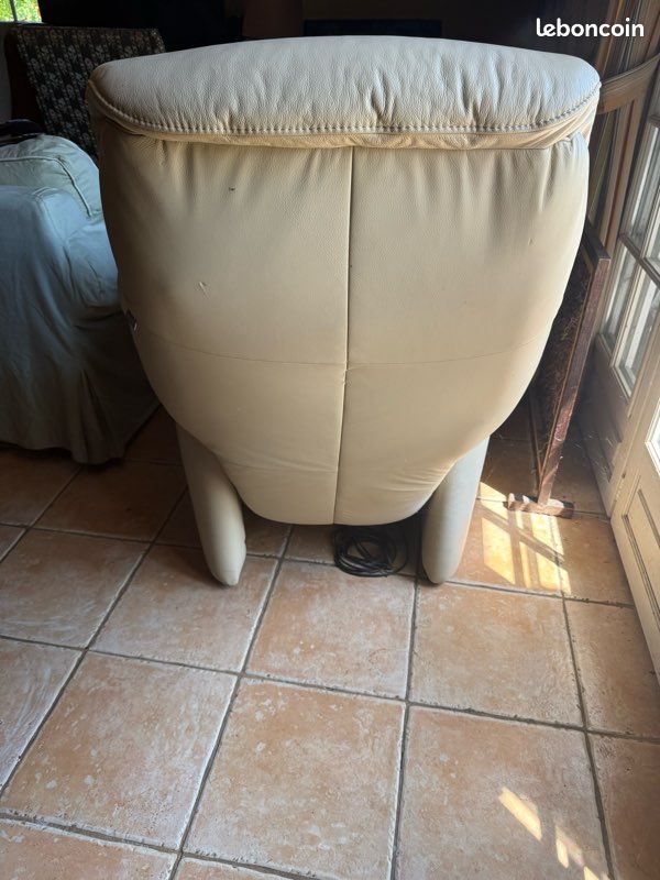 Fauteuil releveur personne âgée (image 8)