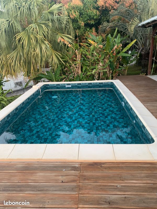 Villa jardin tropical et piscine (image 3)