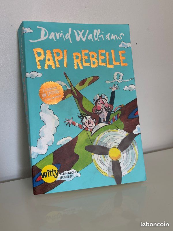 Livre « Papi rebelle » David Walliams (image 2)