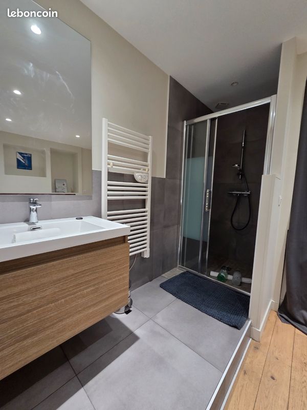 T2 MEUBLÉ 38 m² RÉNOVÉ – VUE SUR LE THIOU – VIEILLE VILLE D’ANNECY (image 7)