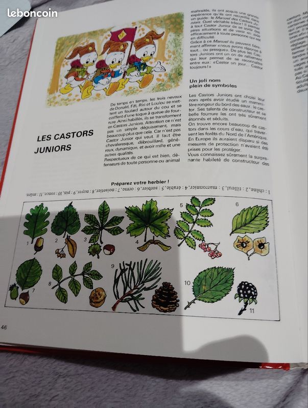 Encyclopédie Walt Disney 1975 (image 7)