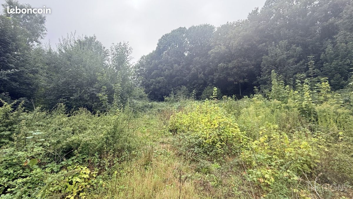 Terrain 2022 m² · à Friville-Escarbotin · 2 022 m² · 54 500 €