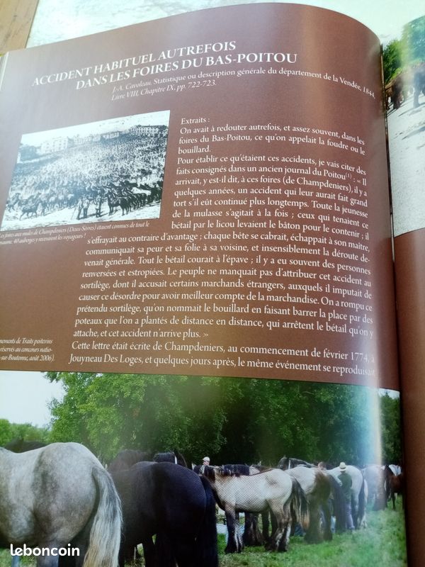 Le Baudet du Poitou, le trait poitevin mulassier et la mule poitevine (image 9)