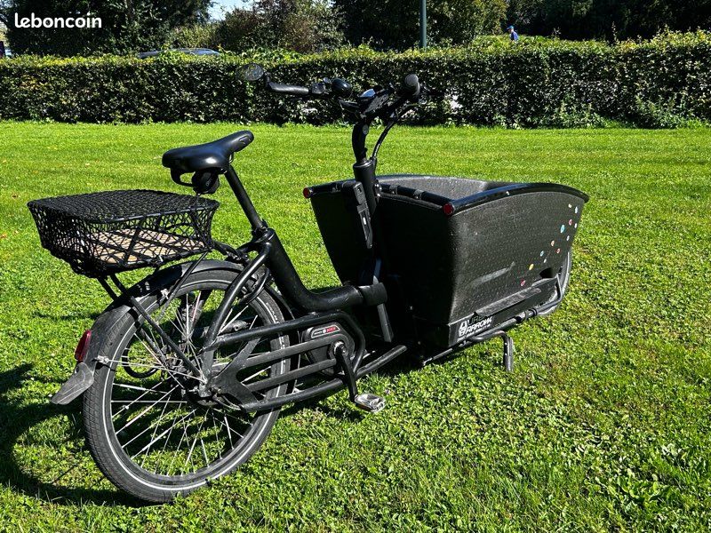 Vélo cargo Urban Arrow Family (image 3)