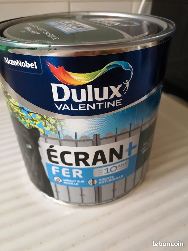 Peinture Dulux Valentine fer (image 1)